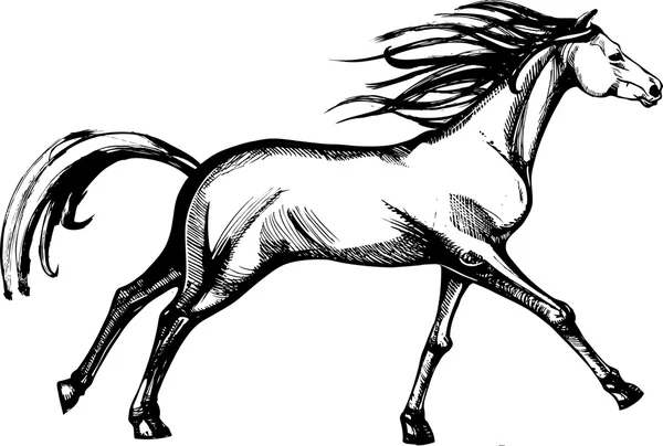 Lopend paard — Stockvector