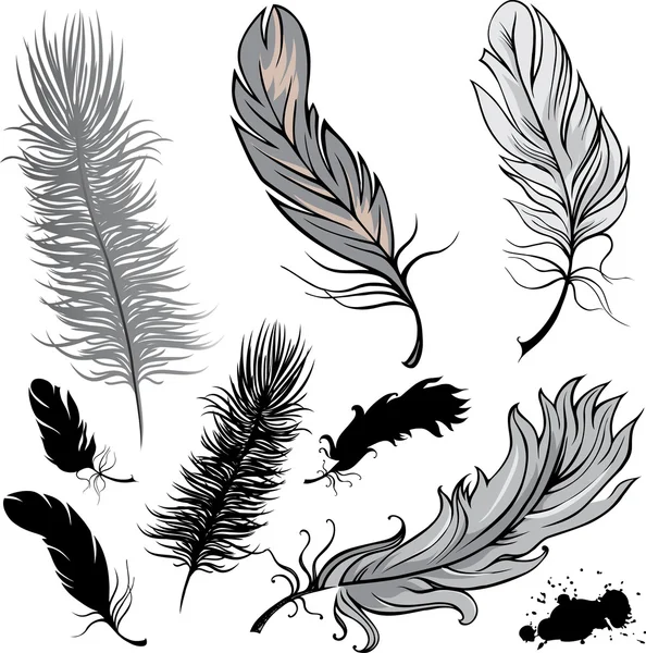 Conjunto de plumas — Vector de stock