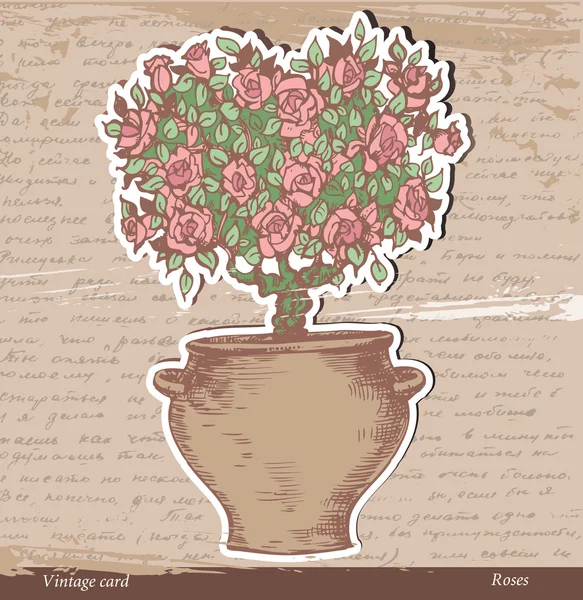 Bush de rosas — Archivo Imágenes Vectoriales