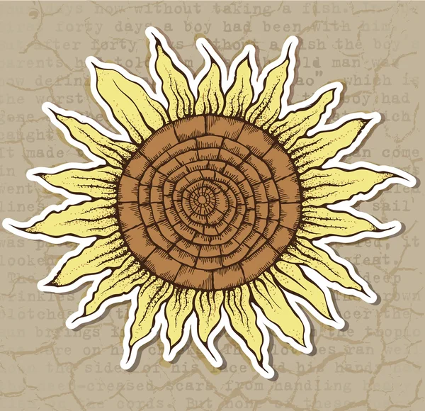 Girasole — Vettoriale Stock