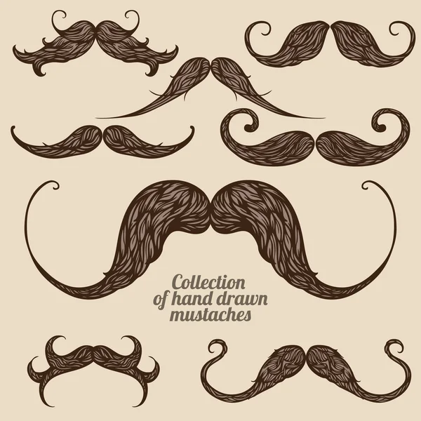 Colección de bigote — Vector de stock