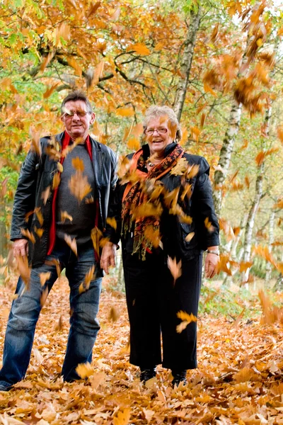 Hojas caídas en el otoño —  Fotos de Stock