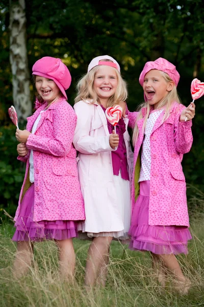 3 roze jacked zusters — Stockfoto