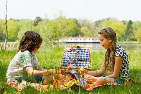 Genieten van onze picknick — Stockfoto