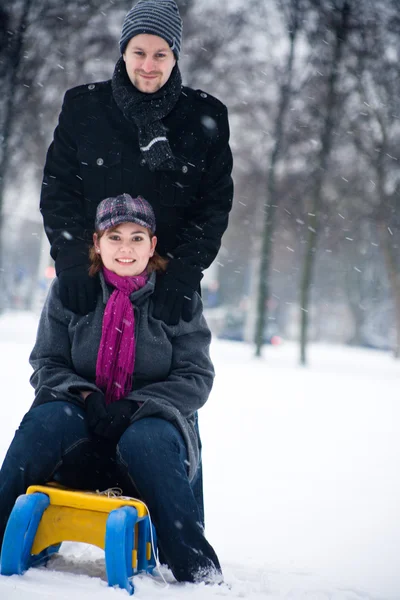 Winter paar op een slee — Stockfoto