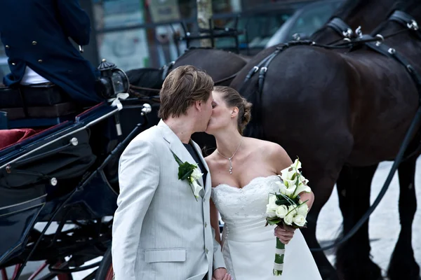 We and the horses — Stock Photo, Image