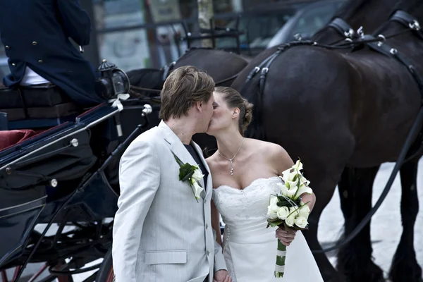 We and the horses — Stock Photo, Image