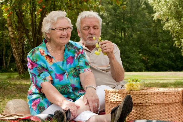 Äldre par picknicking i parken — Stockfoto