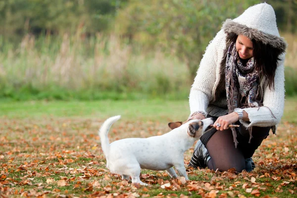 Jouer avec mon chien à l'automne — Photo