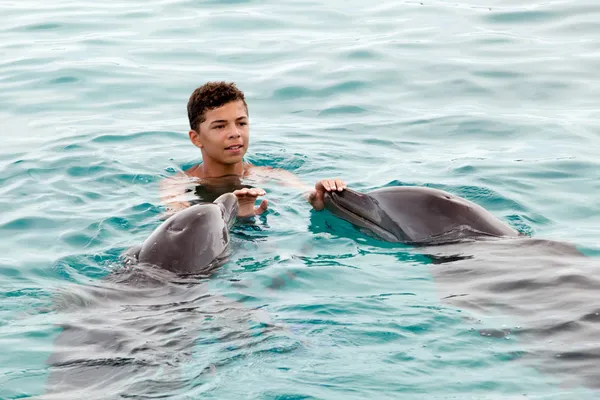 Boy and the dolphins — Stock Photo, Image