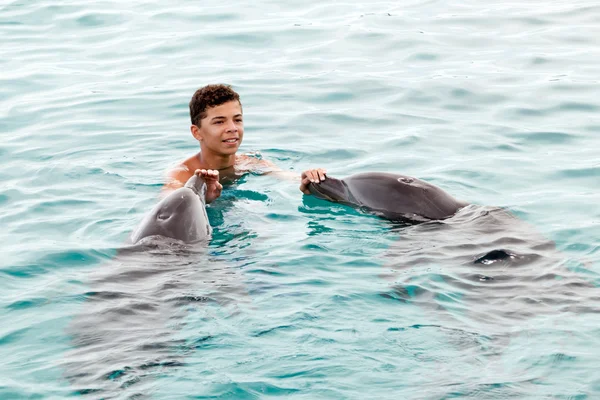 Boy covers dolphins nose — Stock Photo, Image