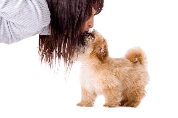 Smelling puppy — Stock Photo, Image