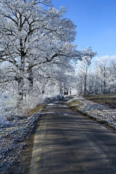 Paesaggio invernale una strada ghiacciata — Foto Stock