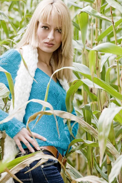 Sexy cornfield meisje — Stockfoto