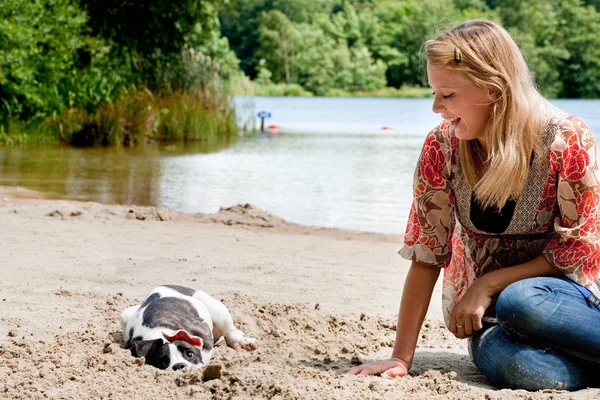 Il cane lo scava dentro. — Foto Stock