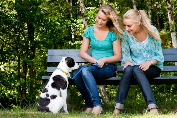 Talking to the dog — Stock Photo, Image