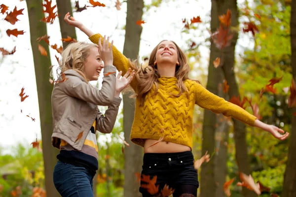 Throw the leafs — Stock Photo, Image