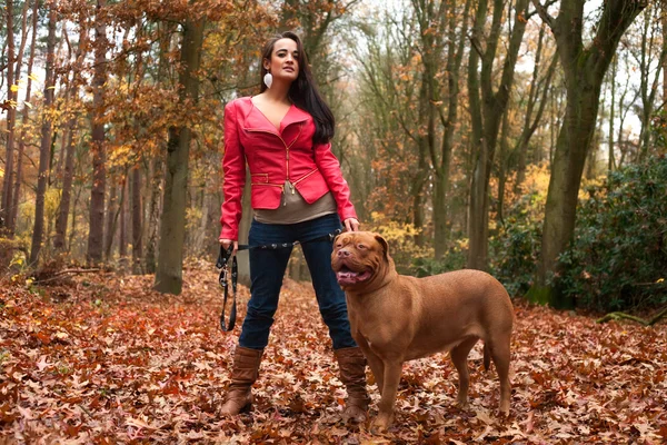 Il mio cane robusto — Foto Stock