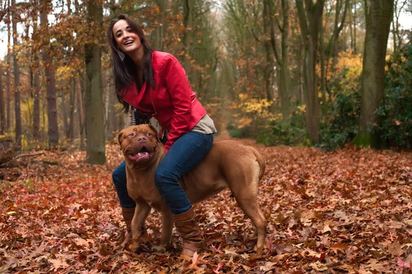 Paardrijden mijn hond — Stockfoto