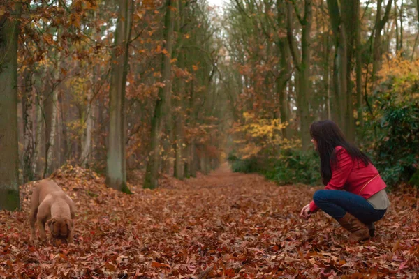 Spelen met mijn hond — Stockfoto