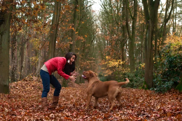 Juega un juego con mi perro —  Fotos de Stock