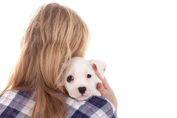 Puppy on my shoulder — Stock Photo, Image