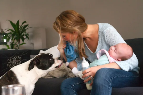 Bébé dort et le chien n'est pas — Photo