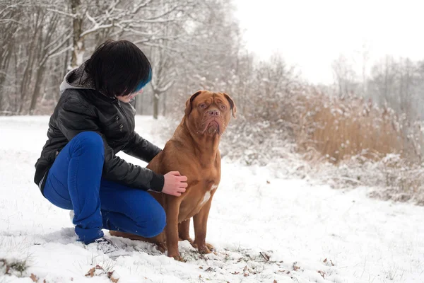 Obediência cão e seu dono — Fotografia de Stock