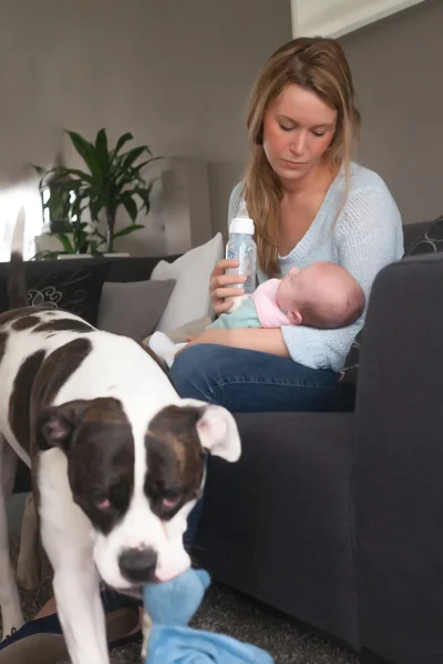 Mãe tem apenas um olho para o bebê — Fotografia de Stock