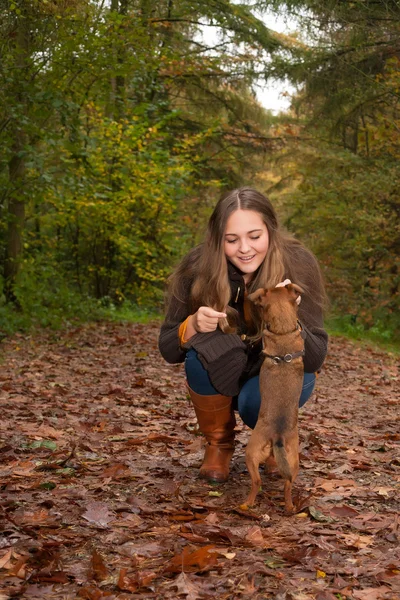 Linda chica y su perro pequeño — Foto de Stock
