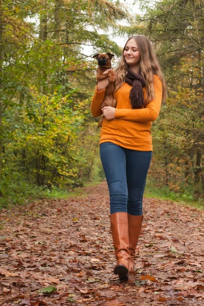Прогулка по лесу с собакой — стоковое фото