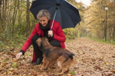 Onu köpek ile kadın çalış midlle yaşlı