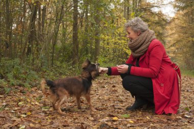 emekli kadın ve köpeği