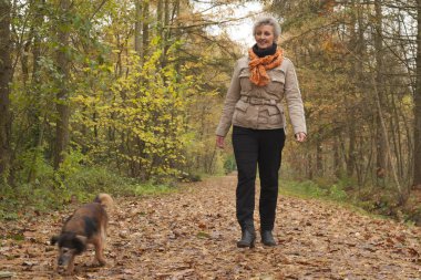 Orta ager bir yürüyüşe köpek
