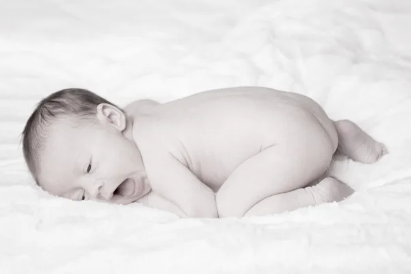 Newborn baby on a plaid — Stock Photo, Image