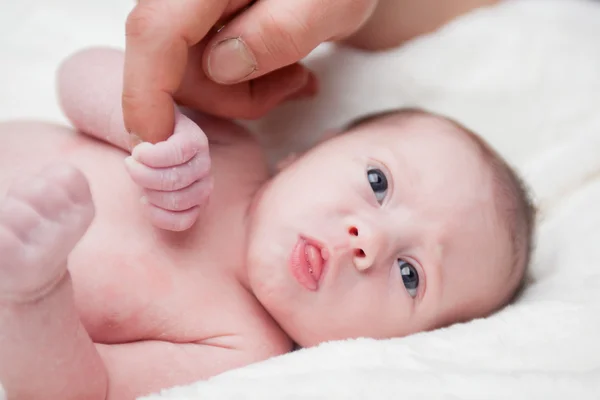 Papa's vinger kreeg — Stockfoto