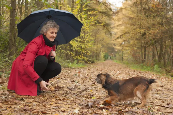 Kvinna med paraply leker med sin hund — Stockfoto