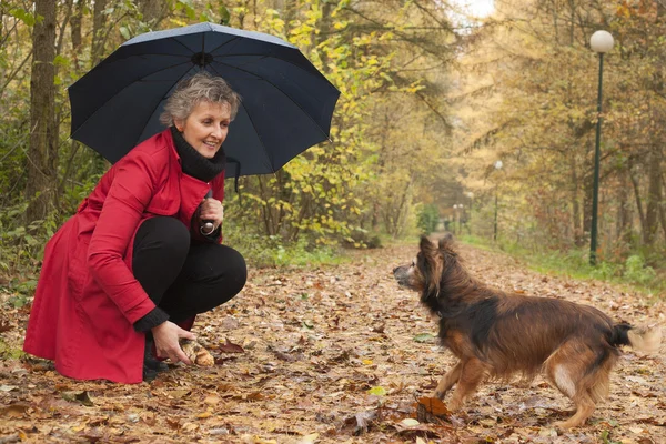 Mujer jugando con su perro y un palo — Foto de Stock