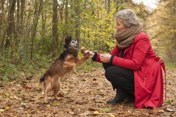 Ager mulher e seu cão — Fotografia de Stock