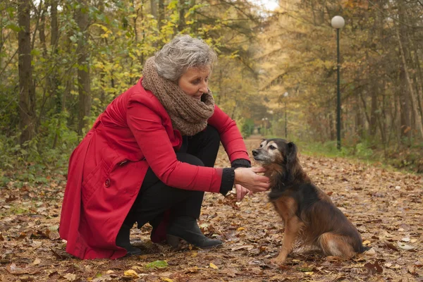 Mulher aposentada está cuidando de seu cão — Fotografia de Stock