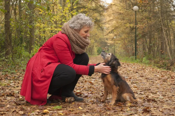 Ager woman and her cute dog in the forest — Stock Photo, Image