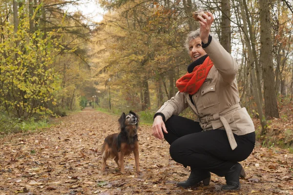 Midden leeftijd vrouw is thorowing de stick — Stockfoto