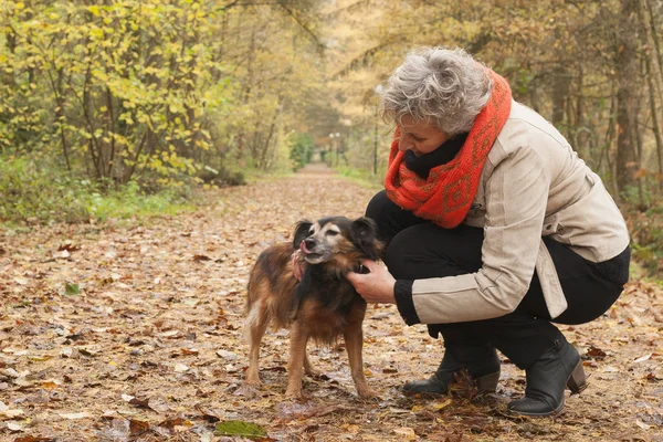 Middle ager está cuidando a su perro — Foto de Stock