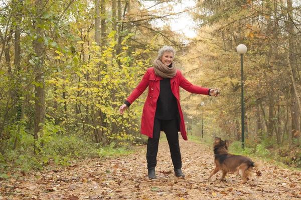 Glimlachend midden leeftijd vrouw in het bos met haar hond — Stockfoto