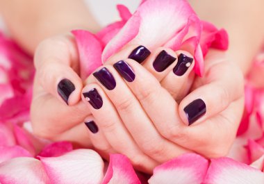 Woman with beautiful nails holding petals clipart