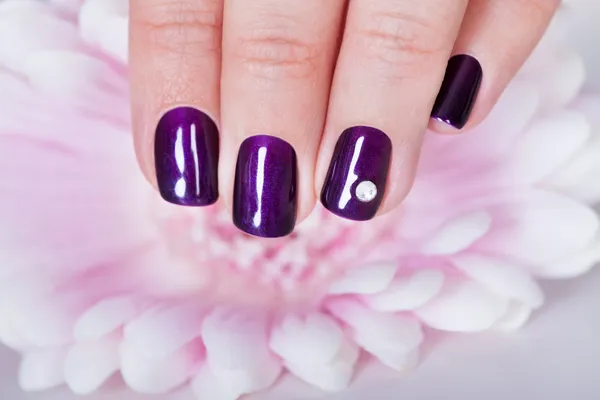 Beautiful manicured nails — Stock Photo, Image