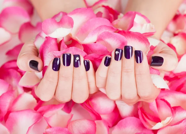 Mulher com belas unhas segurando pétalas — Fotografia de Stock