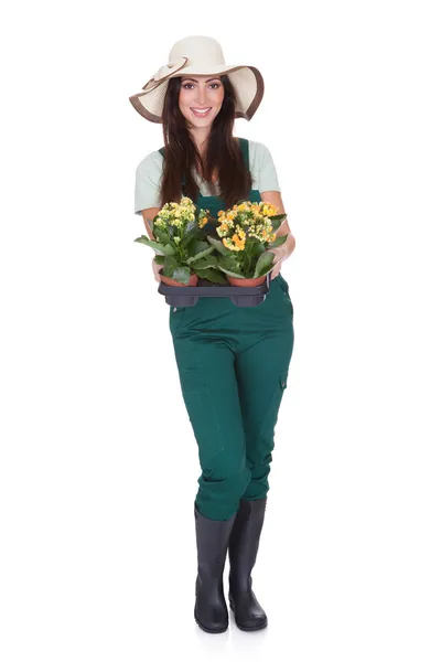 Bela feliz mulher segurando flor planta — Fotografia de Stock