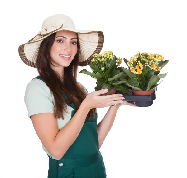 Bella donna felice che tiene pianta del fiore — Foto Stock