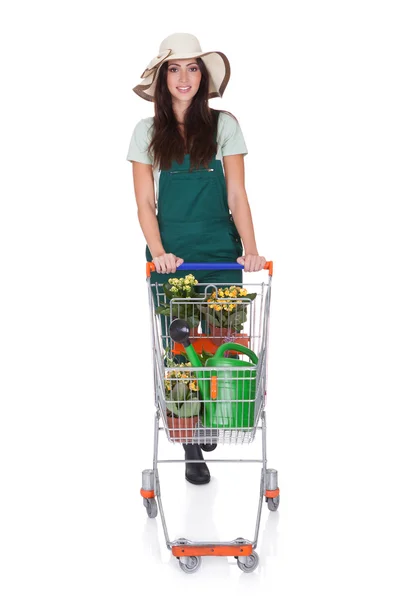 Donna attraente sorridente che tiene il carrello della spesa — Foto Stock